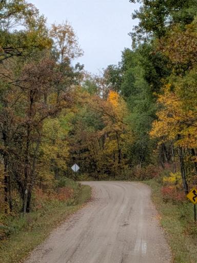 Off of Cty 40 - .7 Miles Of Township Road