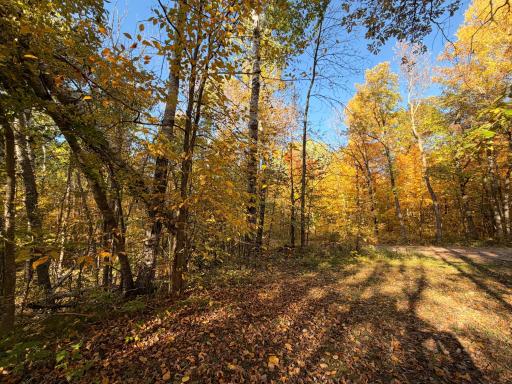 24281 Hazel Wood Drive, Park Rapids, MN 56470