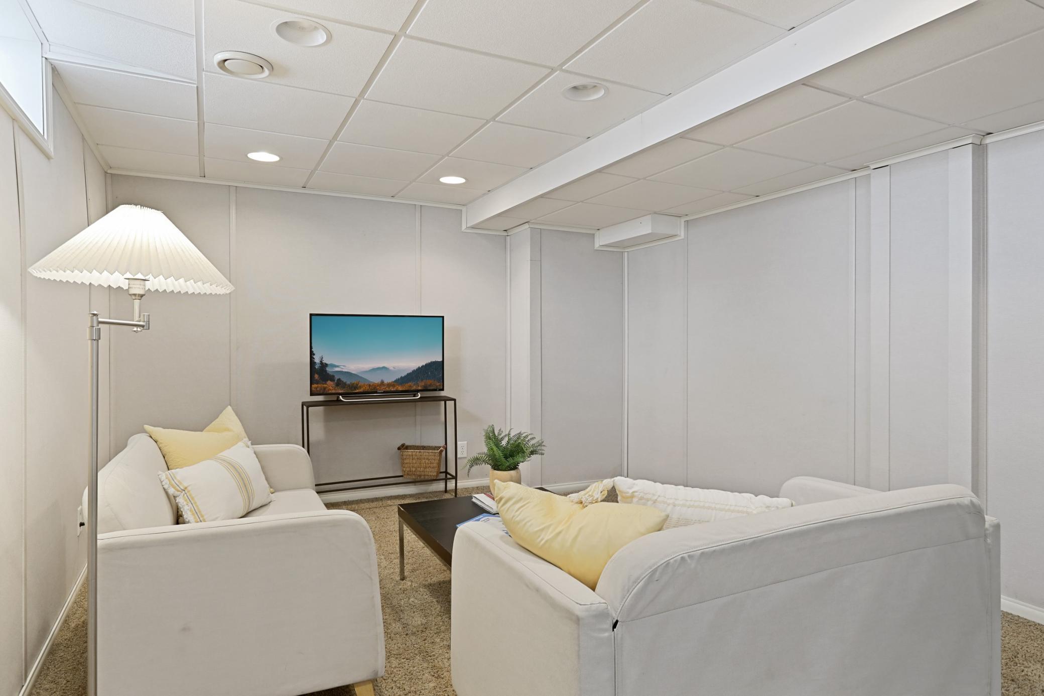 Lower Level Family Room!