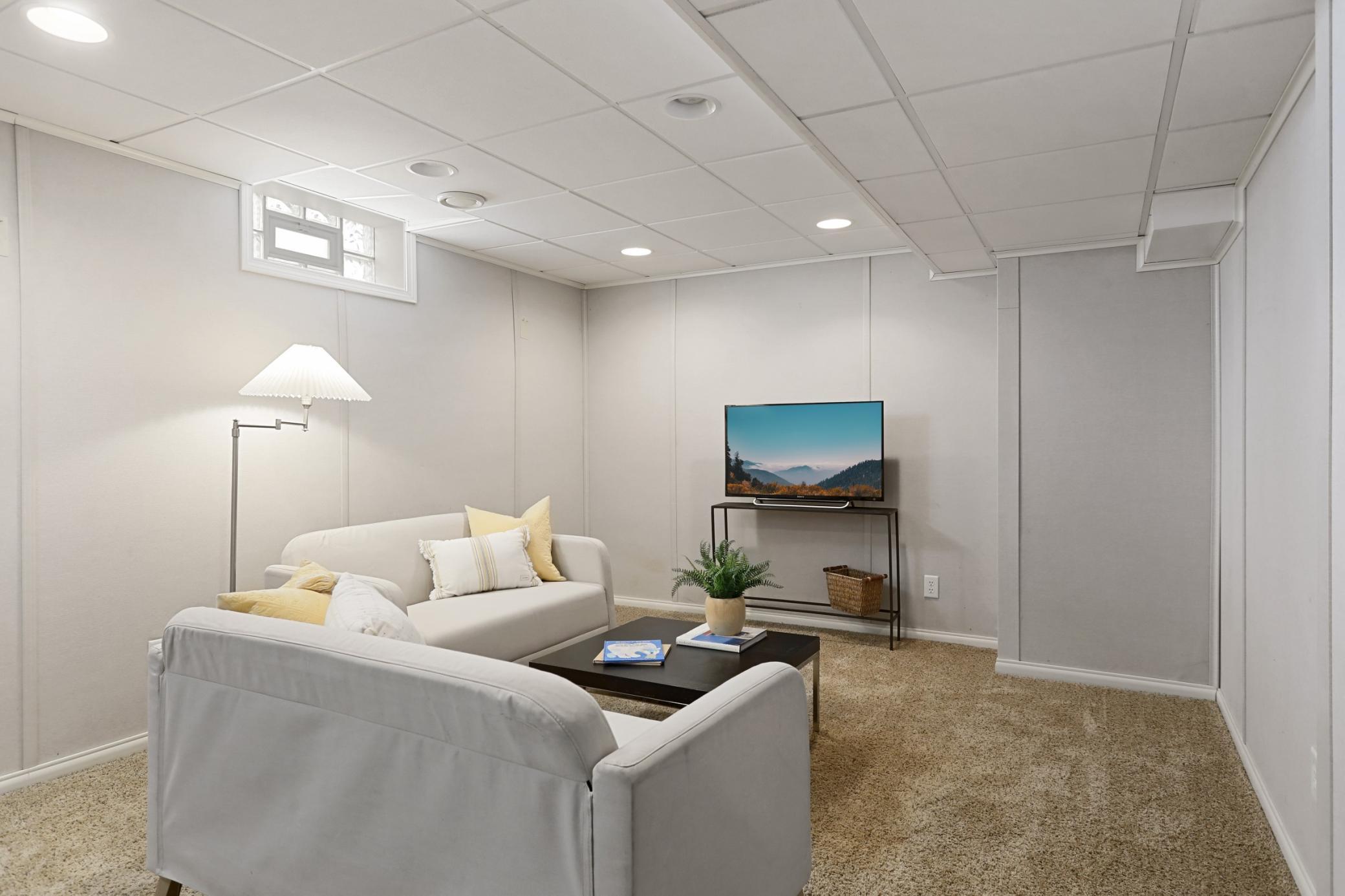 Lower Level Family Room!