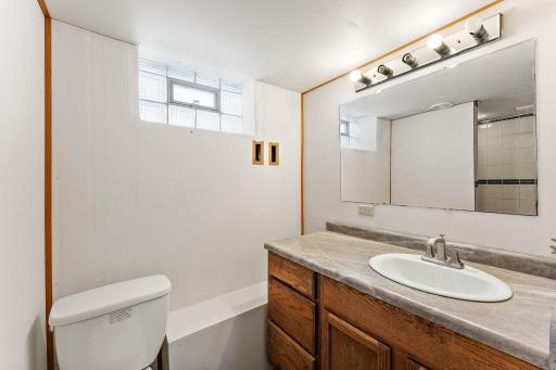 Lower Level Bathroom