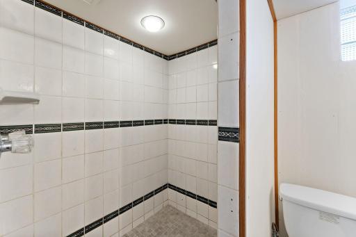 Lower Level Bathroom