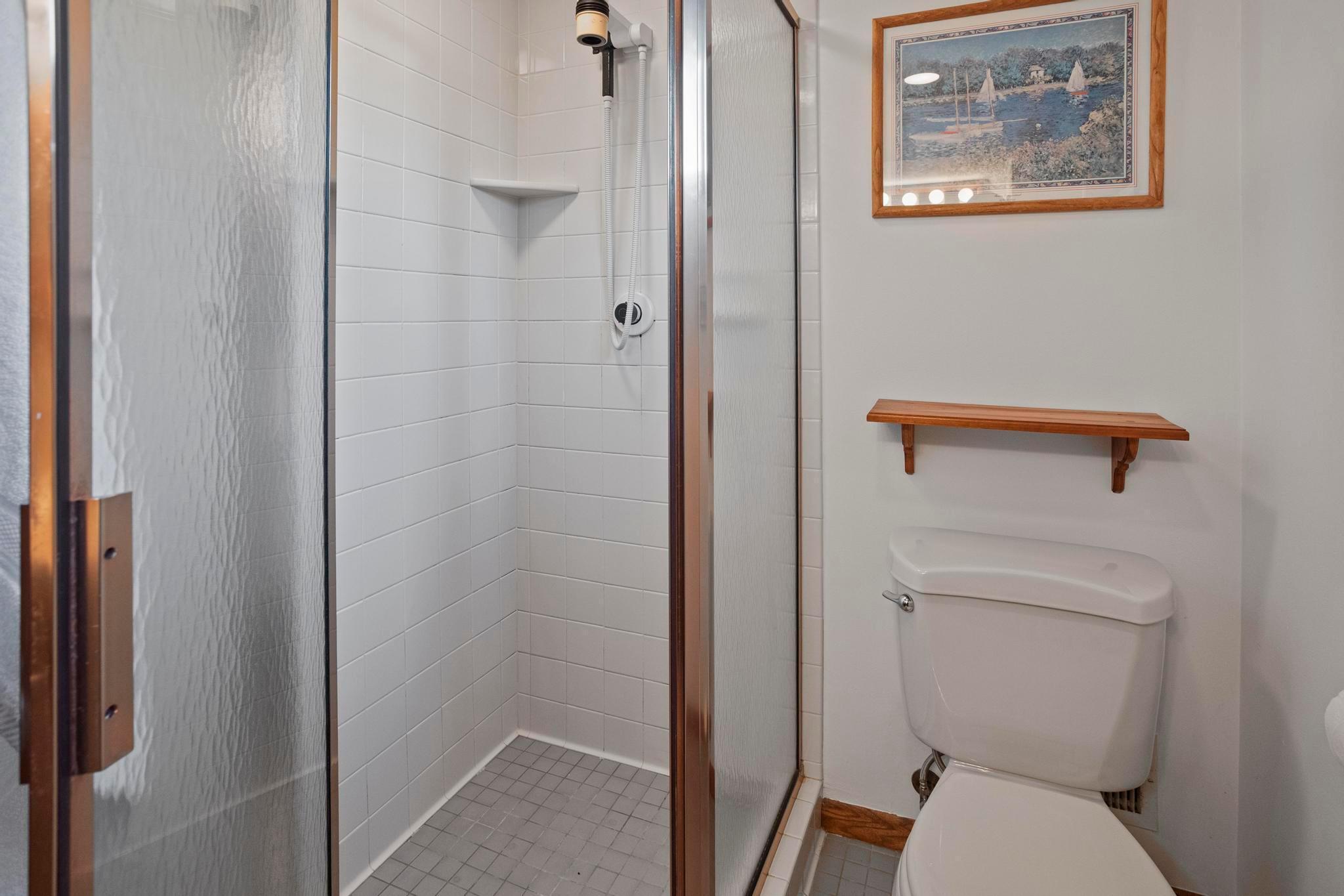 Half bath view of shower.jpg