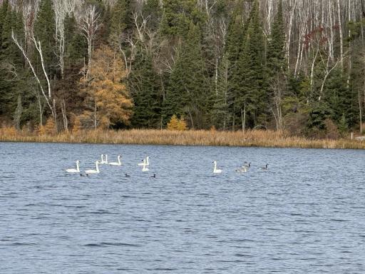 11100 Fisher Lane, Park Rapids, MN 56470