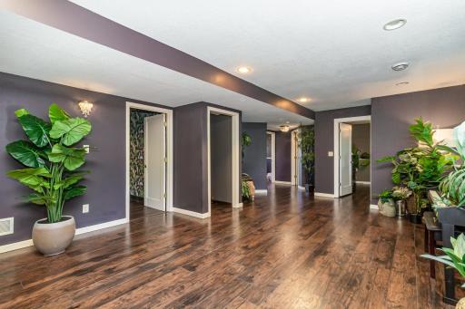 21220 Ilavista Way, Lakeville, MN 55044