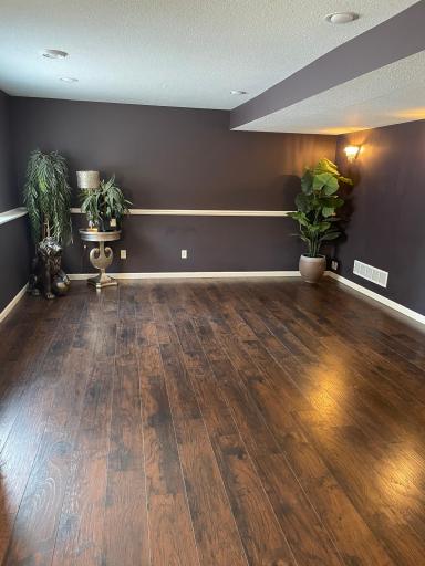 21220 Ilavista Way, Lakeville, MN 55044