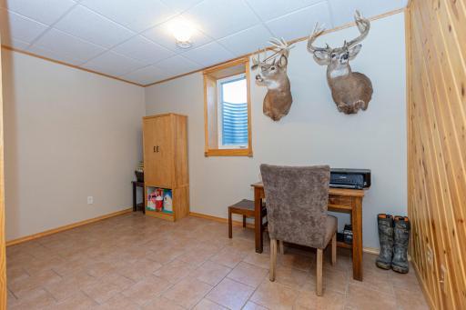 Lower Level Flex/Bedroom