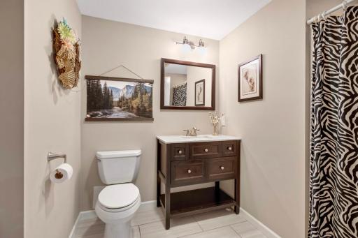 Basement bathroom. Completely updated with a shower as well.
