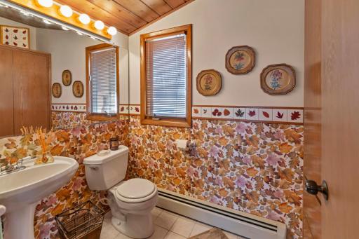 234 County Road 6 SW, Annandale, MN 55302