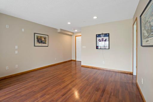 41-web-or-mls-15585 Cherry Path Rosemount MN_0047.jpg