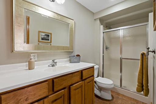 47-web-or-mls-15585 Cherry Path Rosemount MN_0053.jpg