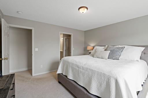 35-web-or-mls-15585 Cherry Path Rosemount MN_0041.jpg