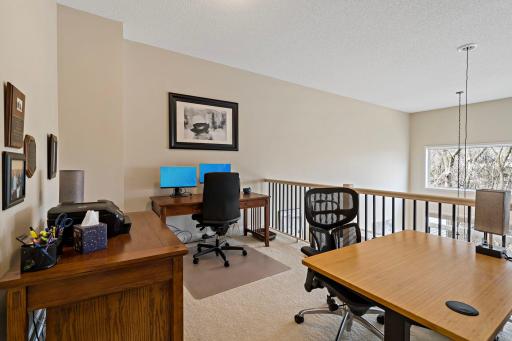 25-web-or-mls-15585 Cherry Path Rosemount MN_0031.jpg