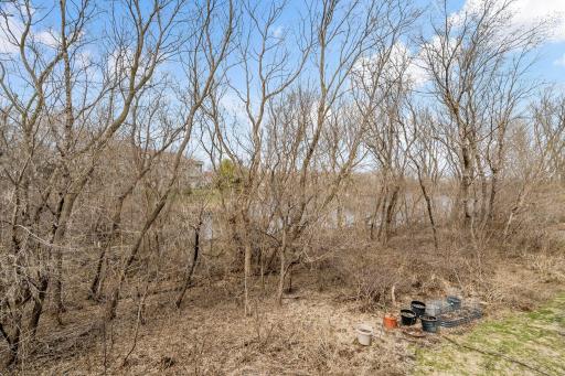 56-web-or-mls-15585 Cherry Path Rosemount MN_0012.jpg