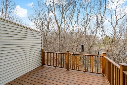 13-web-or-mls-15585 Cherry Path Rosemount MN_0011.jpg