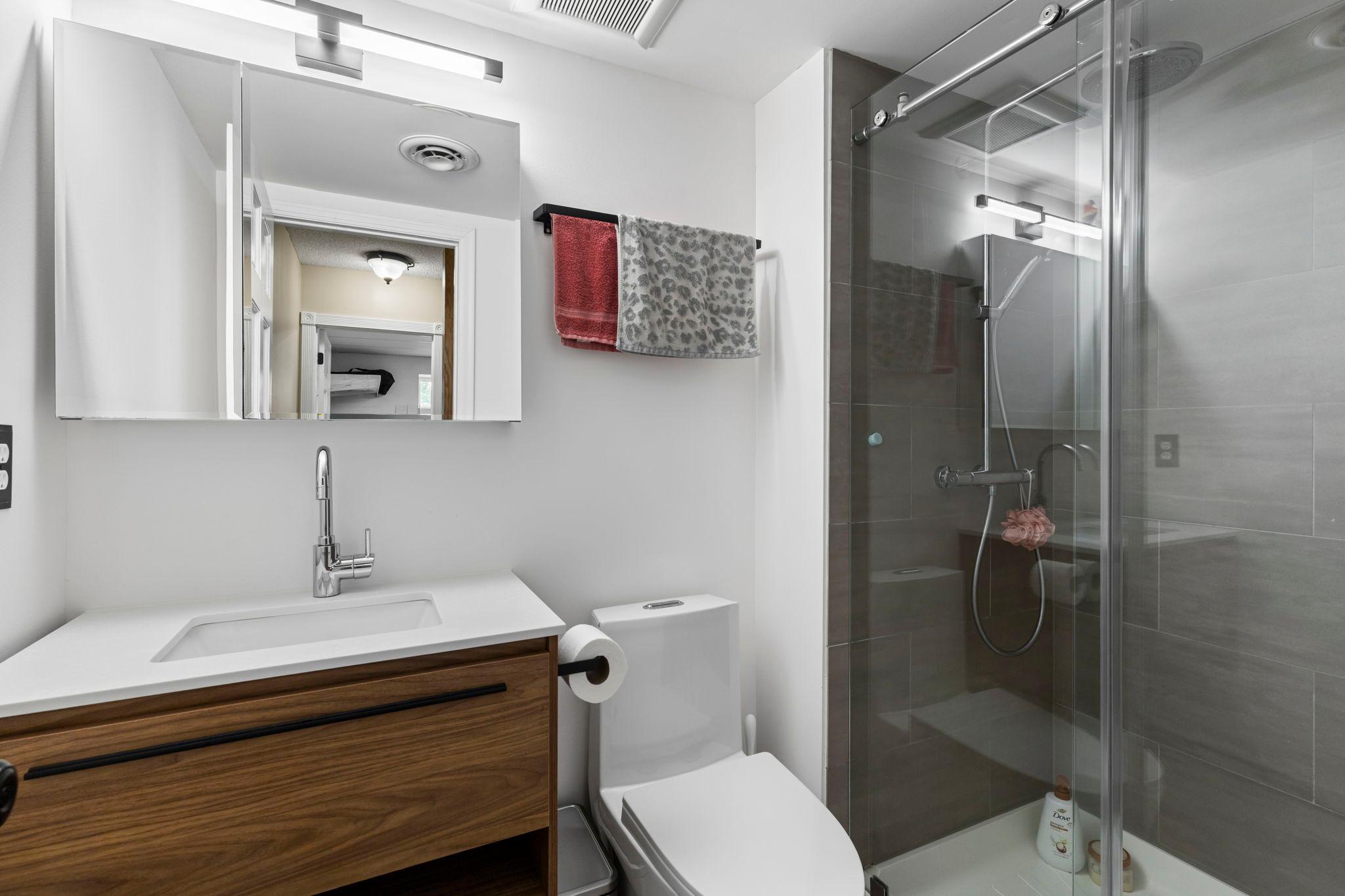 Remodeled lower level bath