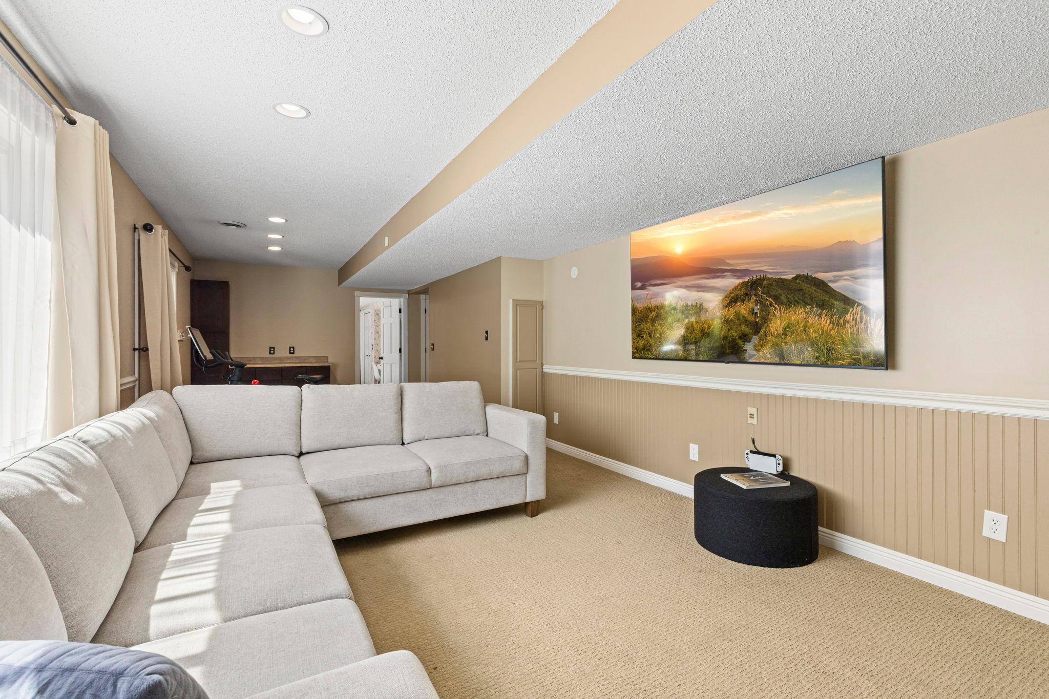 Fantastic media space in lower level