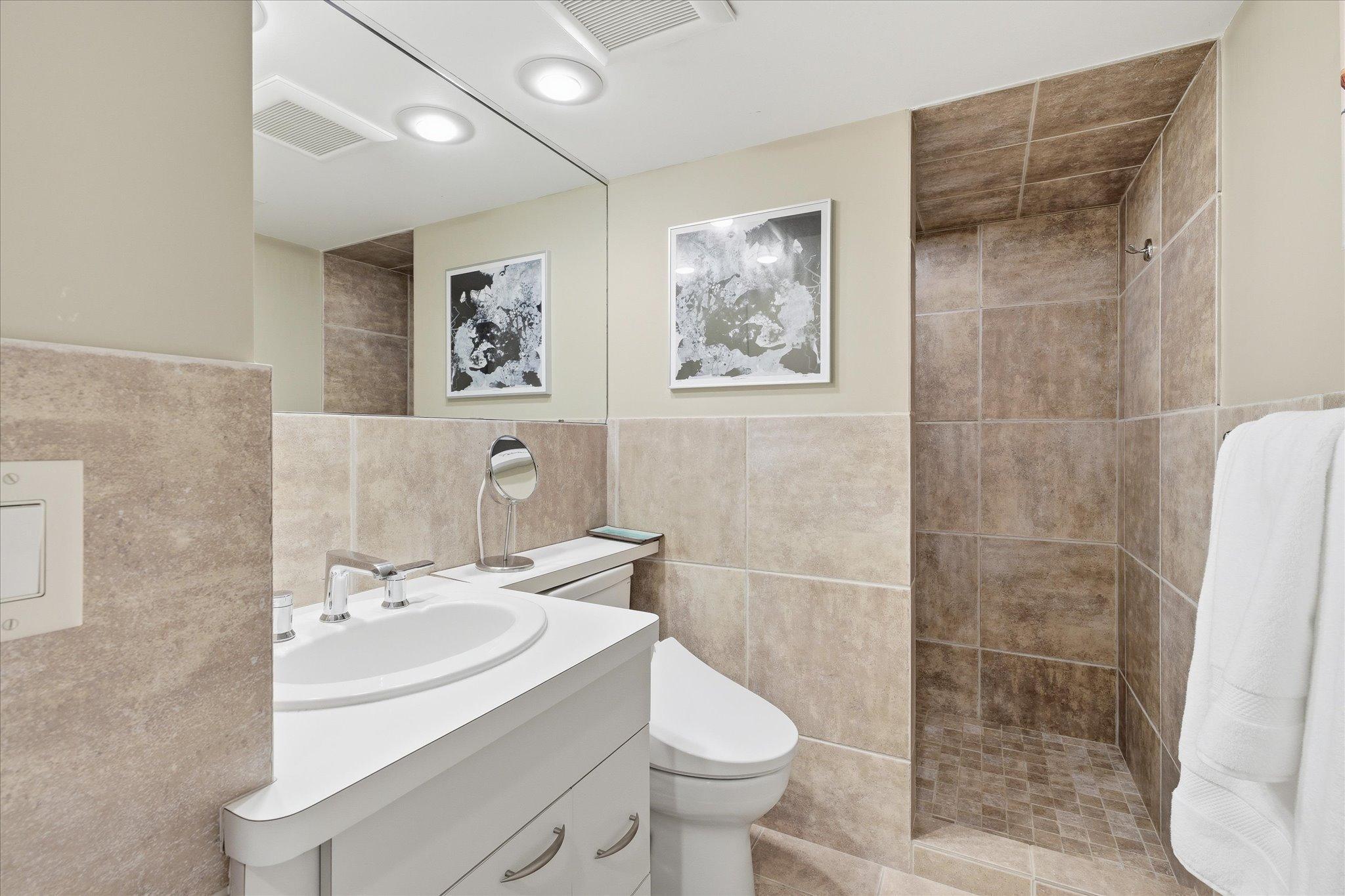 Lower level bathroom