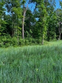 IMG_7411.jpeg