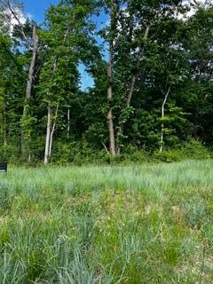 IMG_7407.jpeg