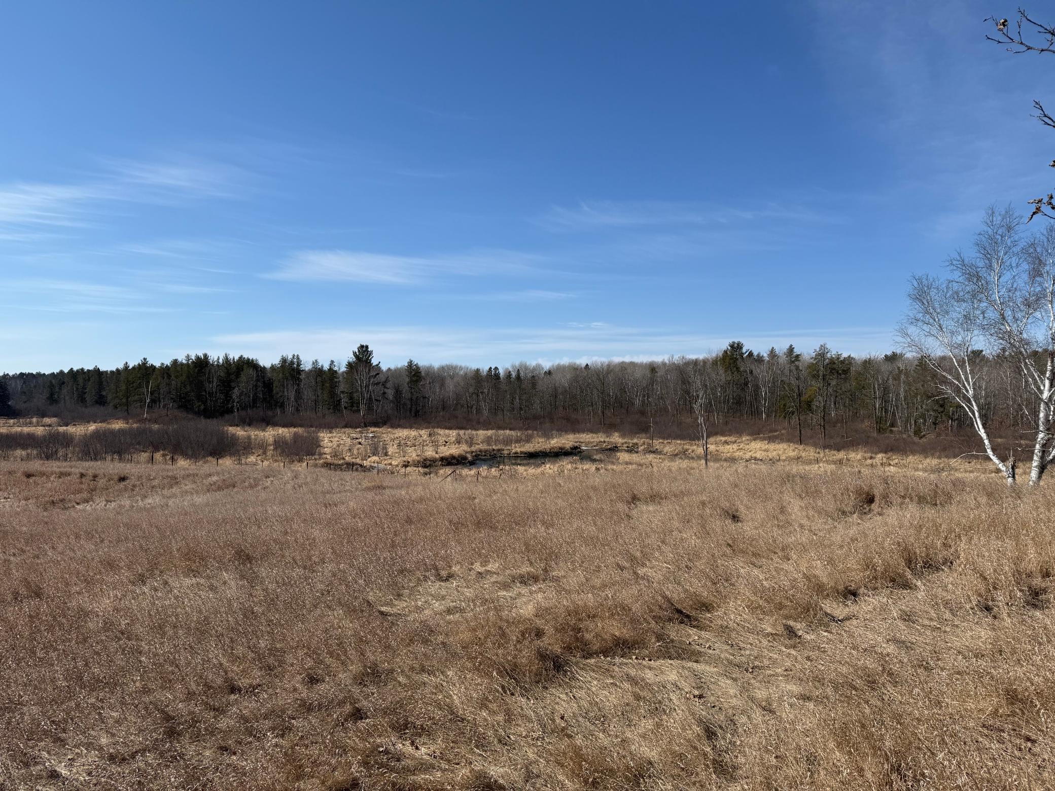 View Looking SW from Top of the Hill