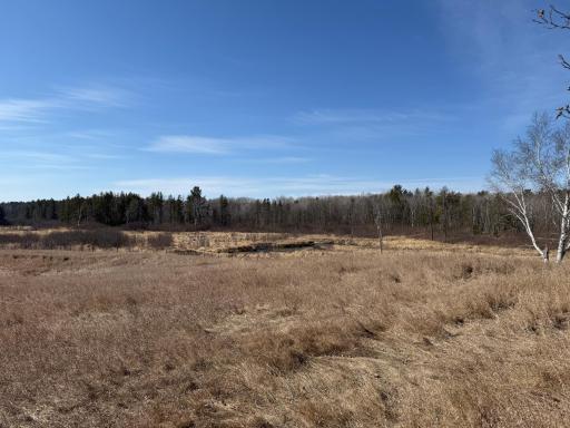 xxx County Road 134, Pine River, MN 56474