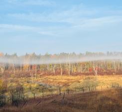 Fall Morning