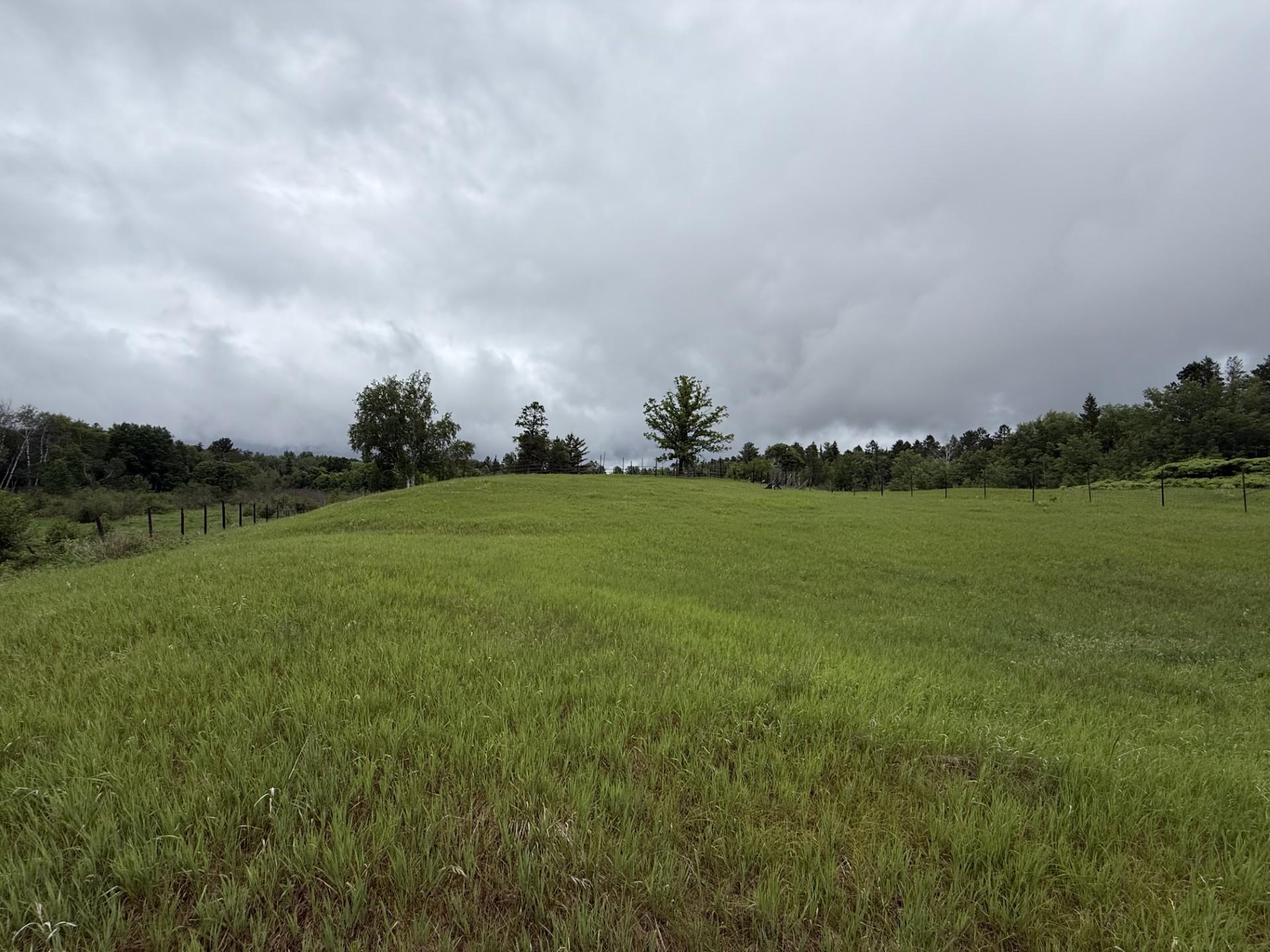 S Edge of Property Near End of Driveway Looking N