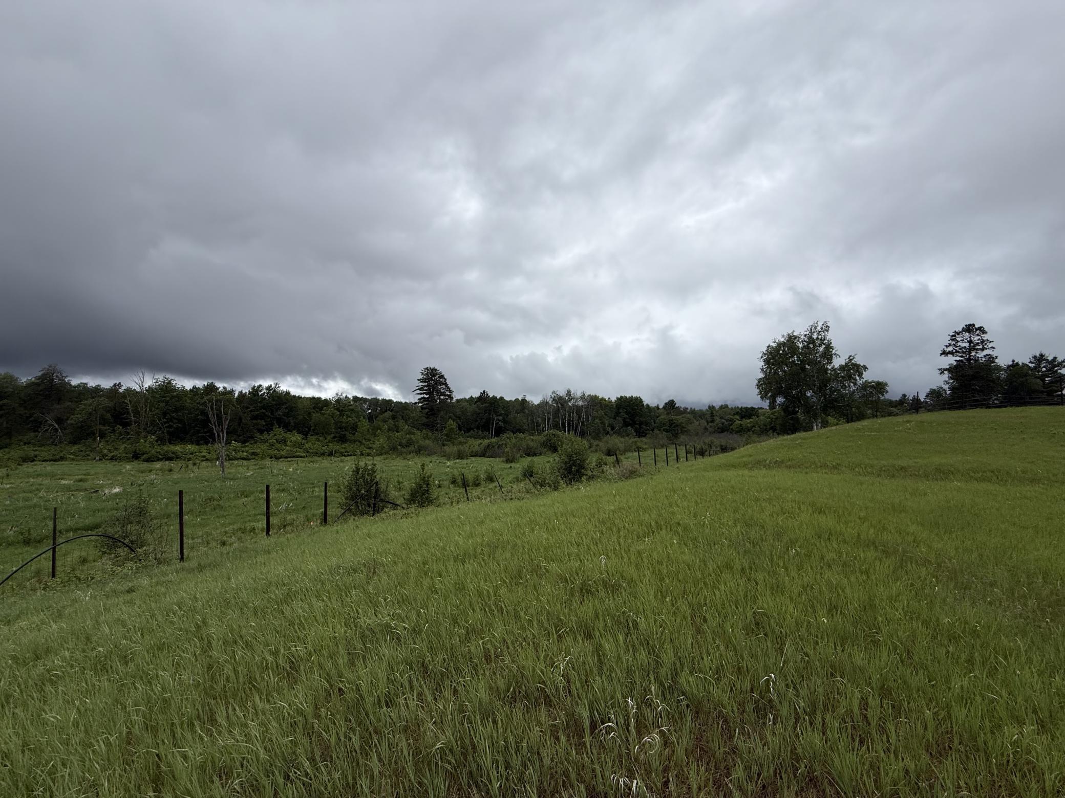 S Edge of Property Near End of Driveway Looking NW