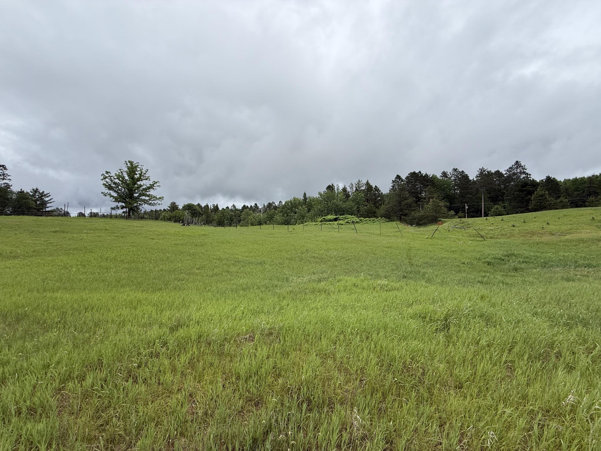 SW Edge of Property Looking NE