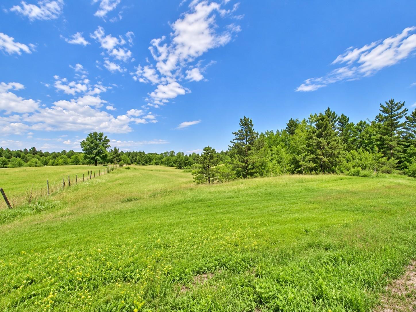 Property photo for Lot B County Road 134, Pine River, MN 56474