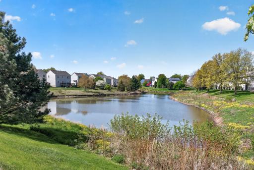15105 Dupont Path, Saint Paul, MN 55124
