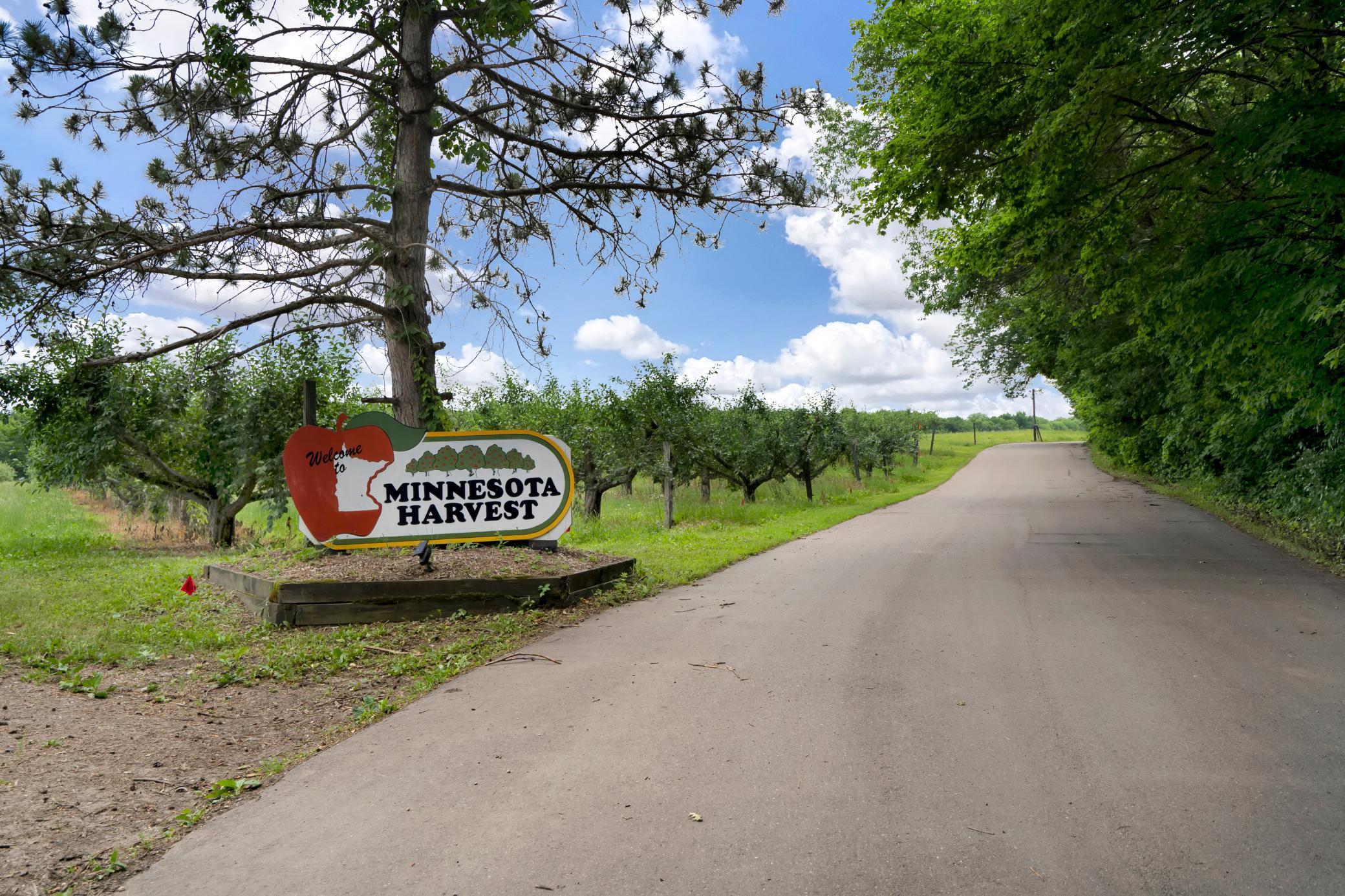 Minnesota Harvest - apple orchard