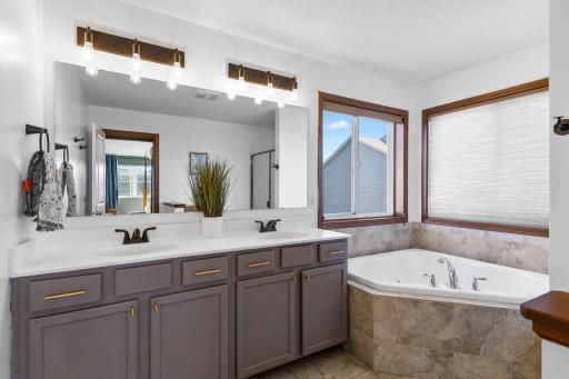 Full, private owner's bath with separate jetted tub and shower