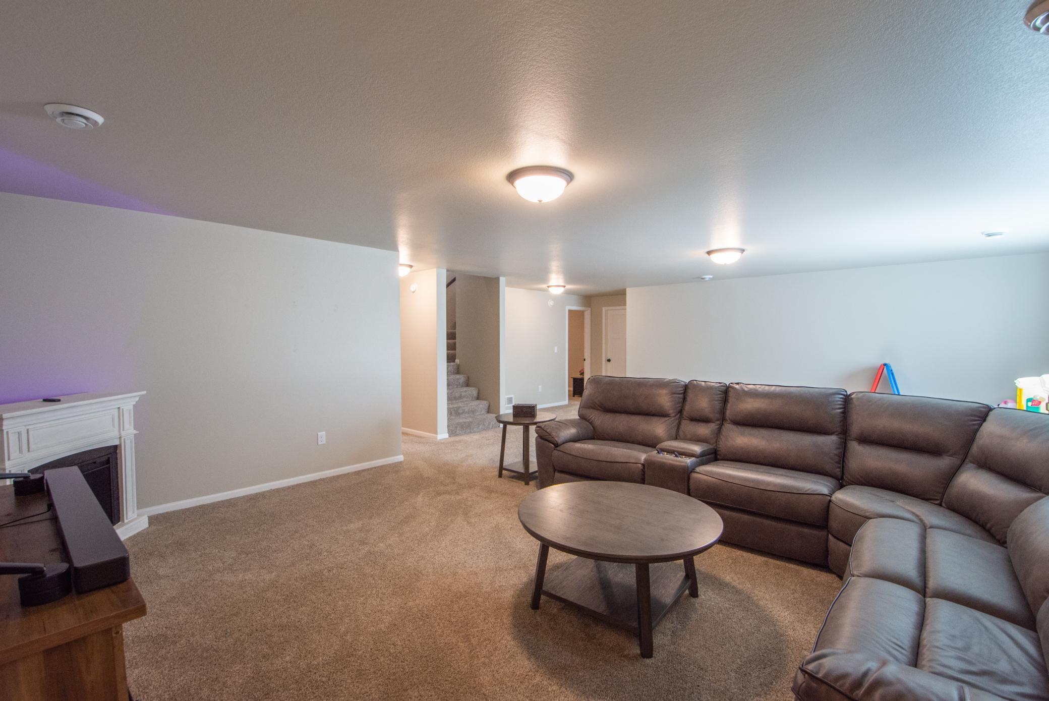 Family room basement