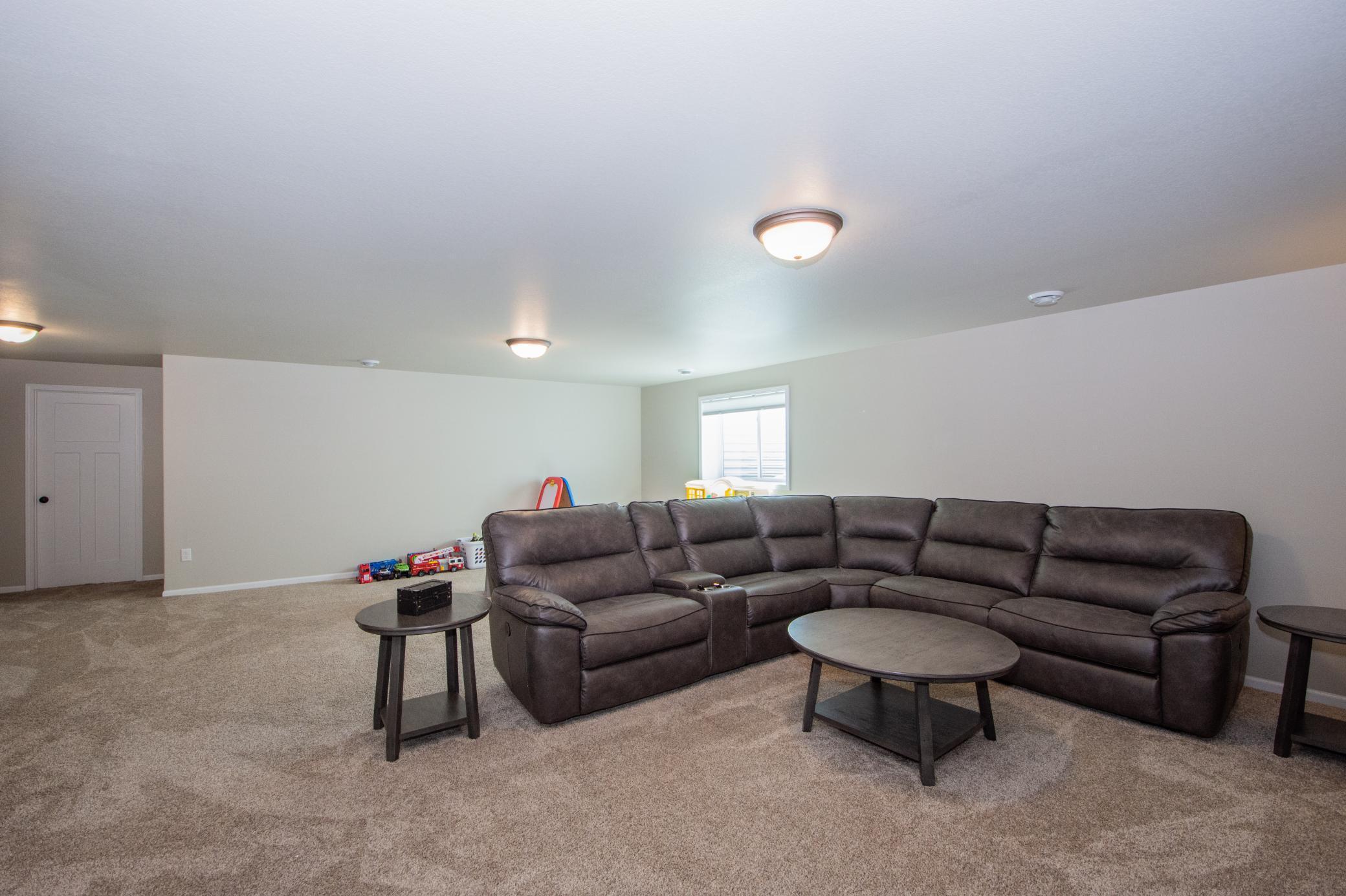 Family room basement