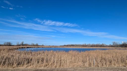 Mcintosh wildlife area (2).jpg