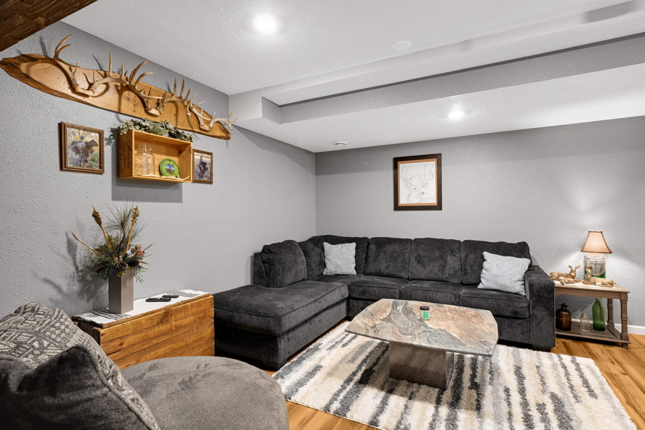 Lower level family room view