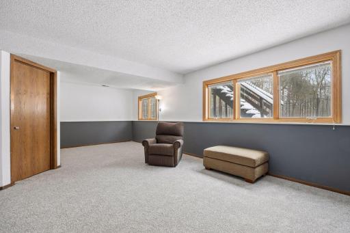 Bright lower level family room with look out windows