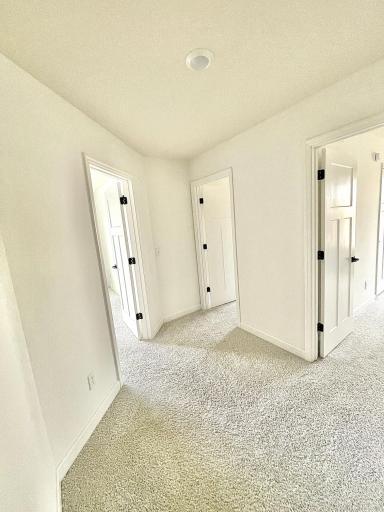 FullSizeRender (16).jpeg