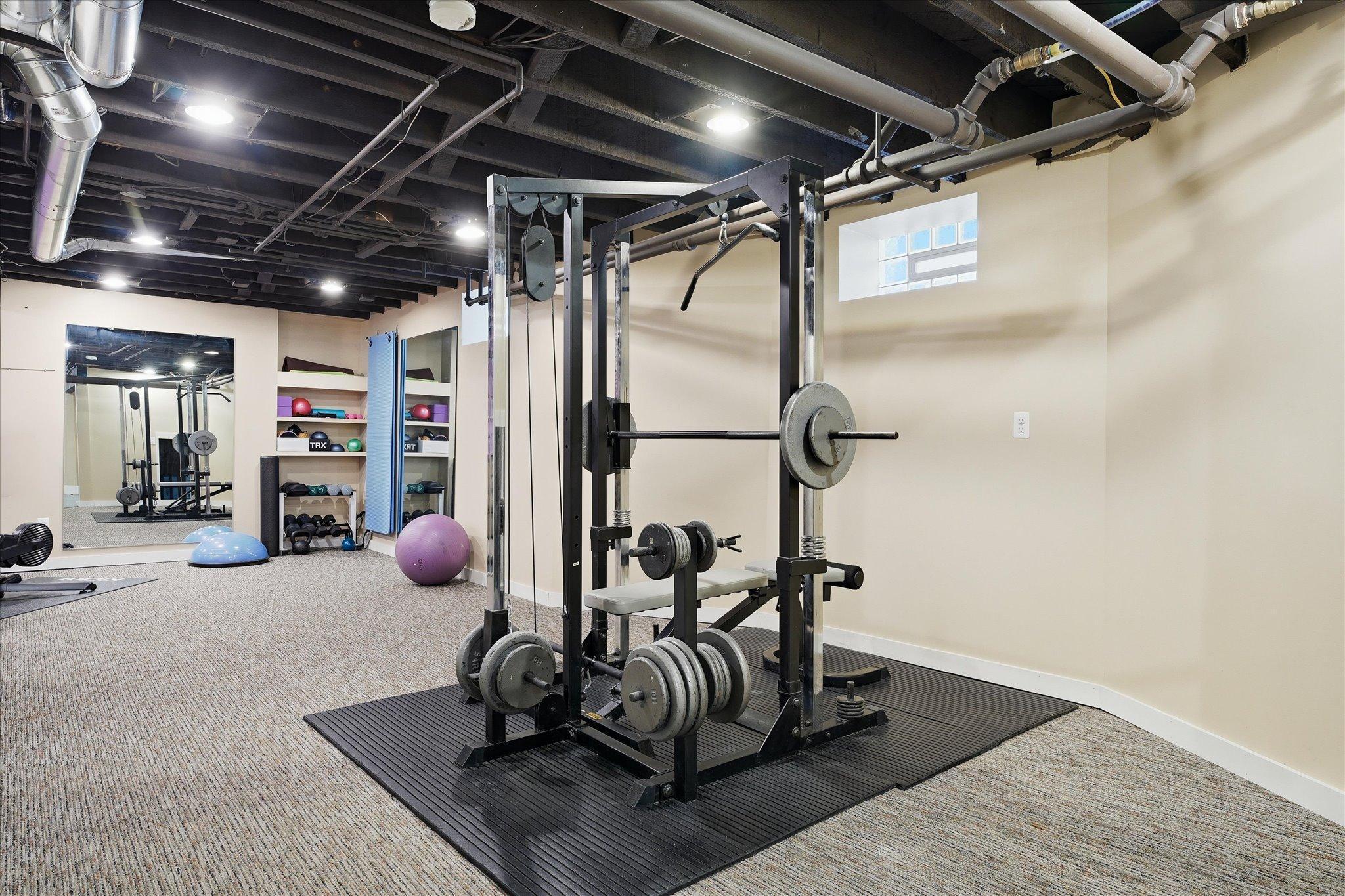 Exercise space in lower level