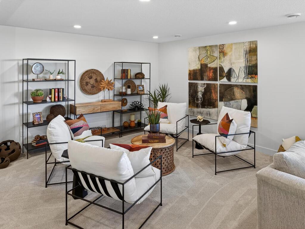 Finished Lower Level