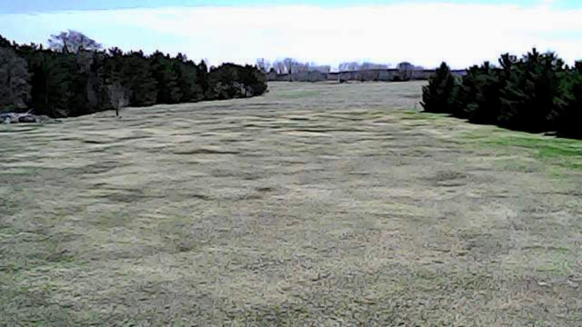 IMG_7617.jpeg