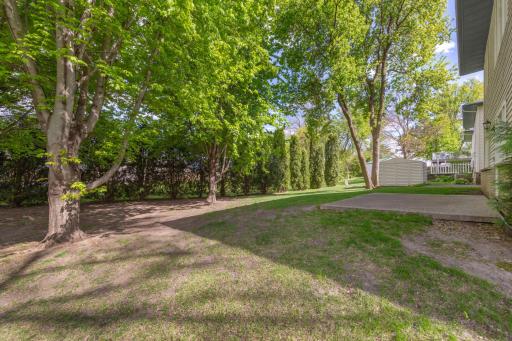 Mature Arborvitae trees create a private, peaceful backyard setting with natural screening from neighboring properties.