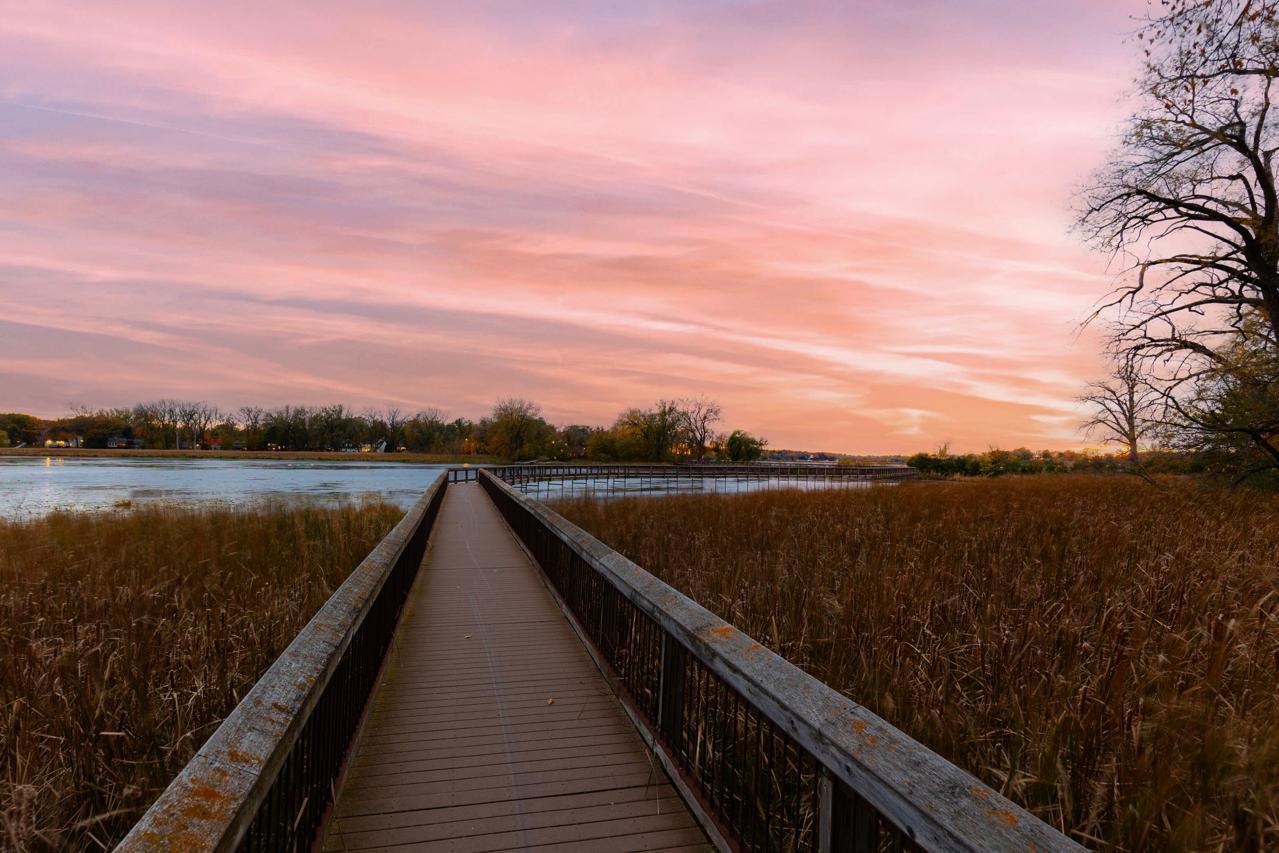Grays Bay Walking Bridge