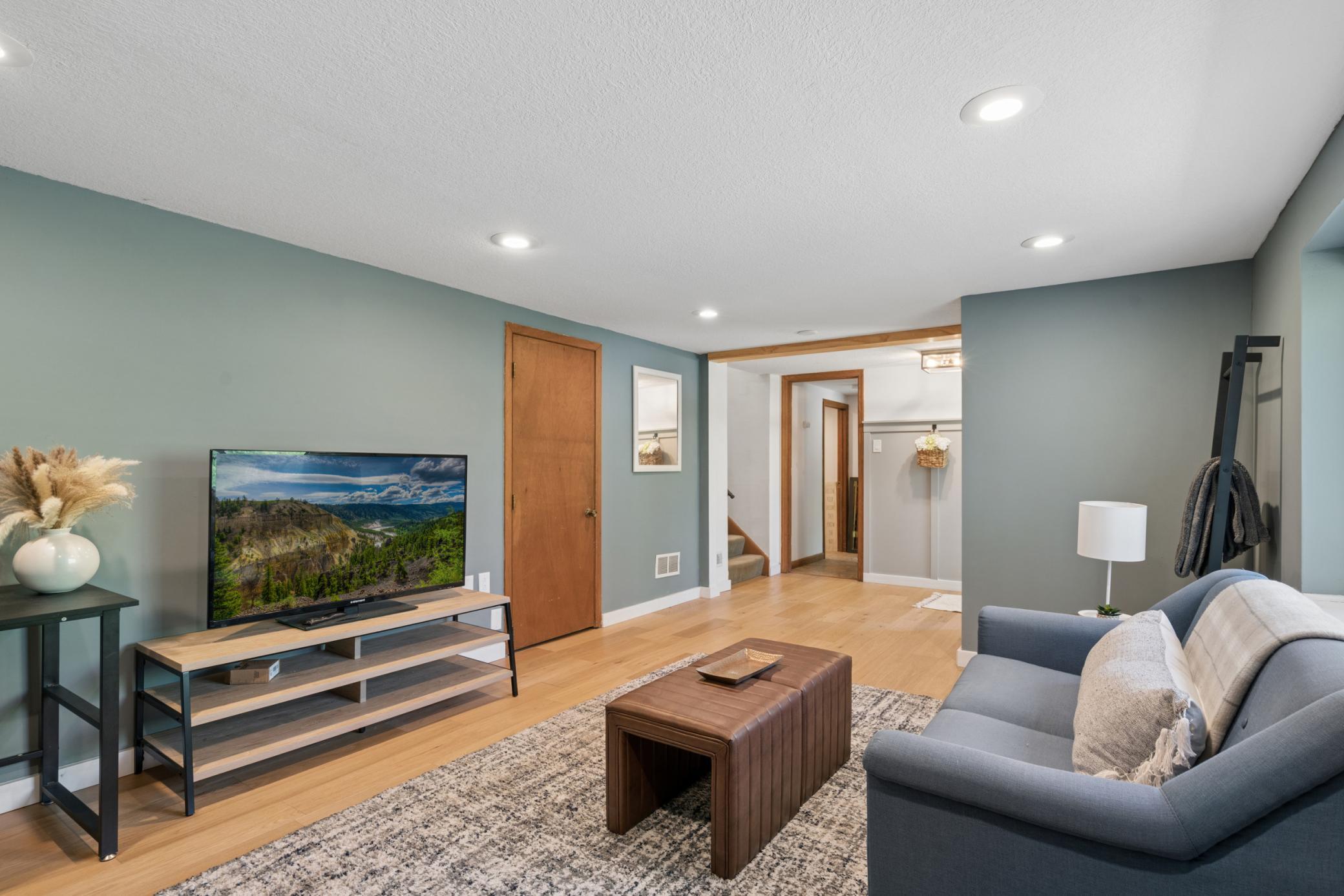 Lower level Family Room