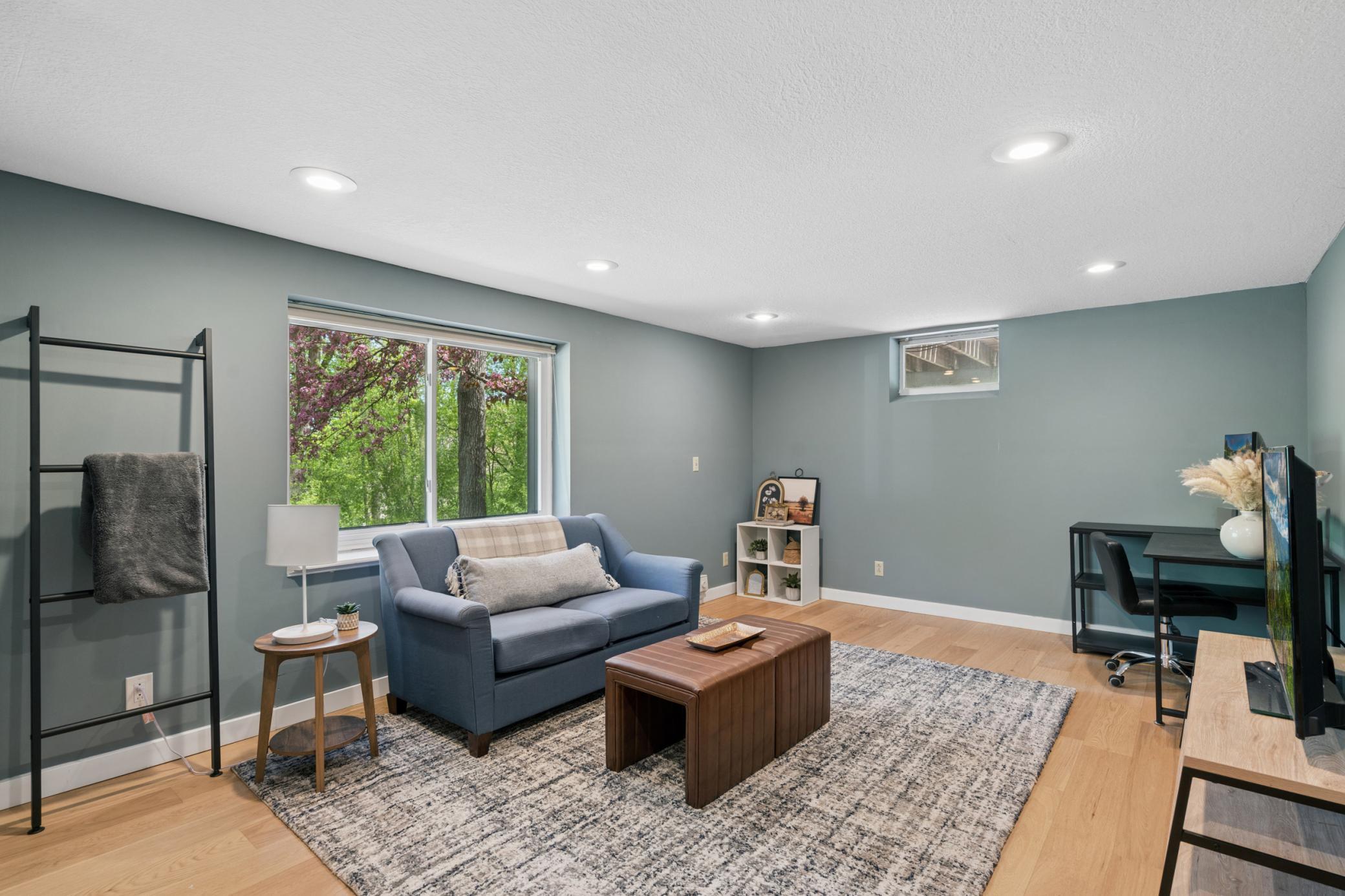 Lower Level Family Room