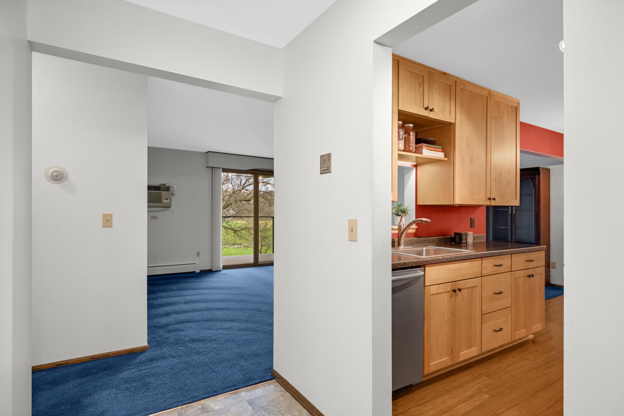 View upon entrance to unit.jpg