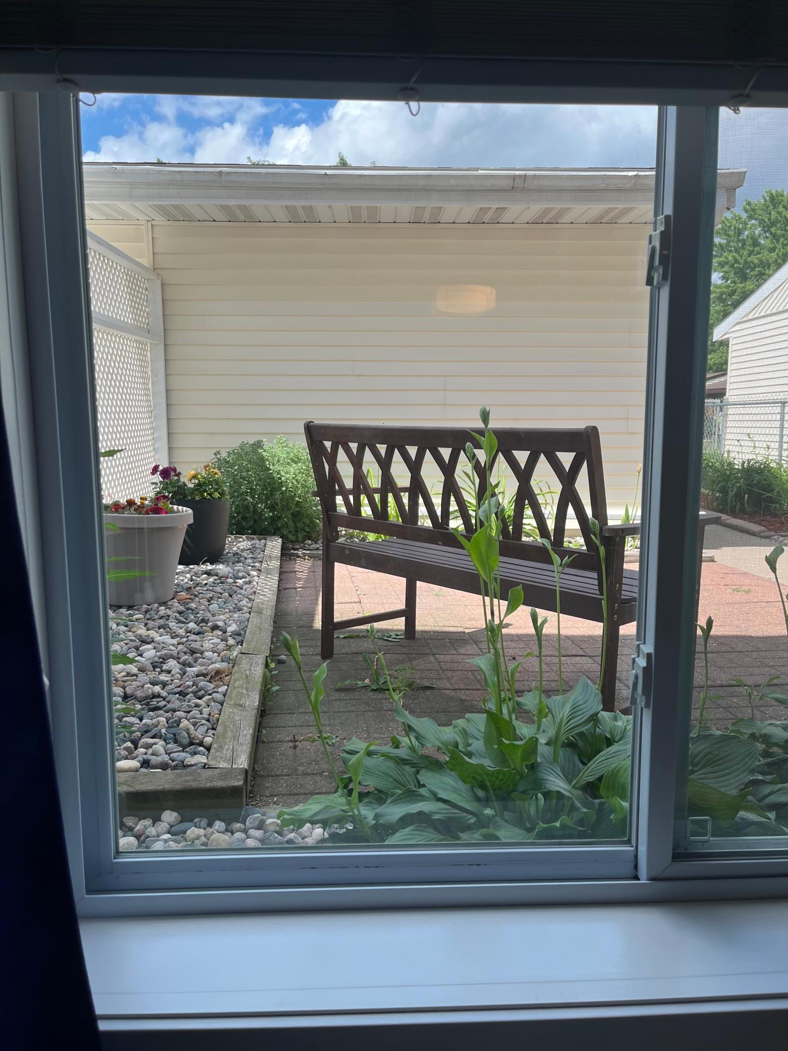 View of Front Patio in Summertime