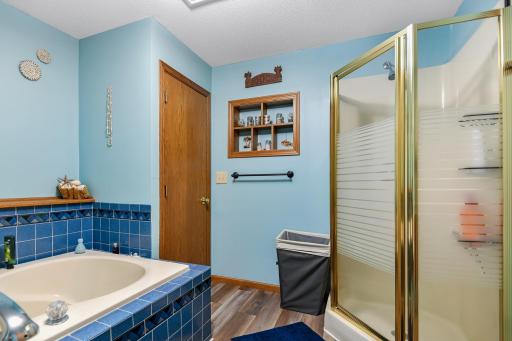 Separate shower & plenty of storage compliment this lower level whirlpool bath